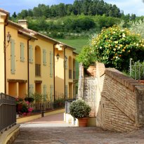 Colli al Metauro Le Marche
