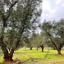 San Michele Salentino Puglia