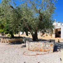 Ceglie Messapica Puglia