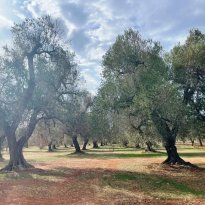 San Michele Salentino Puglia