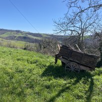 Cagli Le Marche