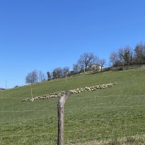 Cagli Le Marche