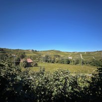 Ricaldone Piemonte