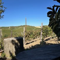 Ricaldone Piemonte