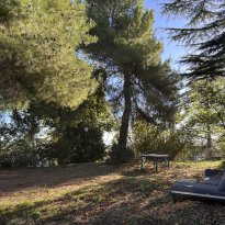 Cartoceto, Colli al Metauro Le Marche