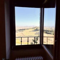 Cartoceto, Colli al Metauro Le Marche