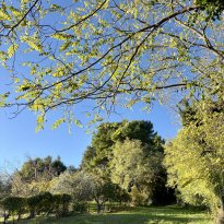 Cartoceto, Colli al Metauro Le Marche
