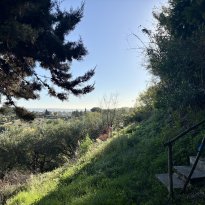 Cartoceto, Colli al Metauro Le Marche