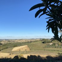 Cartoceto, Colli al Metauro Le Marche