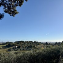 Cartoceto, Colli al Metauro Le Marche