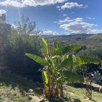 Cupramontana Le Marche