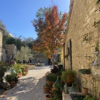 Cupramontana Le Marche