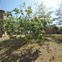 Montecarotto Le Marche