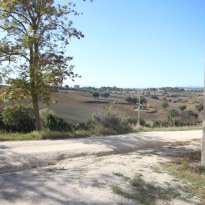Ostra Le Marche