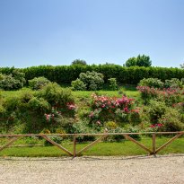 Ostra Le Marche