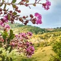 Penna San Giovanni Le Marche