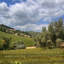 Monte Giberto Le Marche