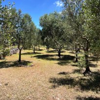 Ceglie Messapica Puglia