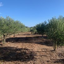 San Giovanni, Olbia Sardegna