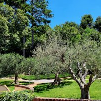 Serrungarina Le Marche