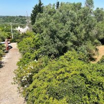 Ceglie Messapica Puglia