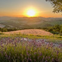 Pergola Le Marche