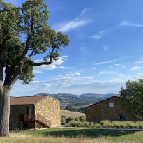 Pergola Le Marche