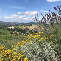Pergola Le Marche