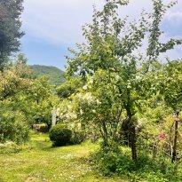 Piandimeleto Le Marche