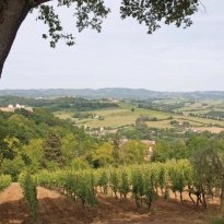 Montaione Toscana