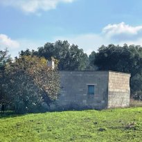Ceglie Messapica  Puglia