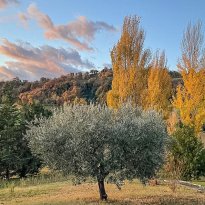 San Ginesio Le Marche
