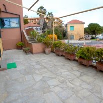 cipressa Liguria