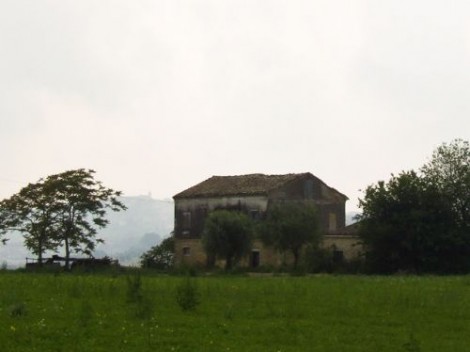 Corrodonia Le Marche