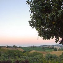 Petriolo Le Marche